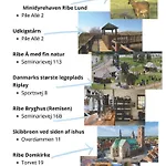 Gravsgade 55 - Rolig Gade I Hjertet Af Homestay szállás Ribe