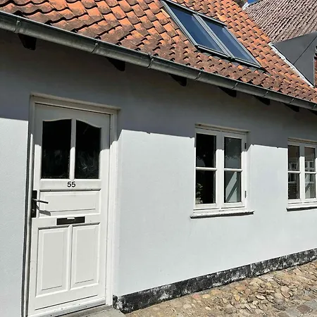 منزل للإقامة Gravsgade 55 - Rolig Gade I Hjertet Af ريب