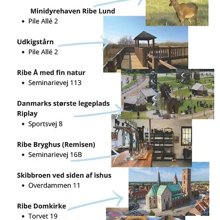 Gravsgade 55 - Rolig Gade I Hjertet Af Проживание в семье Рибе